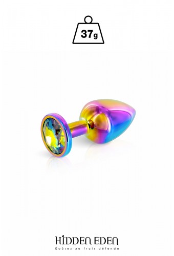 Plug bijou aluminium Rainbow XS - Hidden Eden