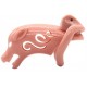 Cage de chasteté Pig Rough 10 x 3.5cm – Contrôle et soumission masculine