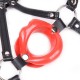 Baillon SM Lips et Harnais 