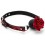 Baillon Boule avec Rose Bud Gag Rouge