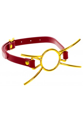 Bâillon Sder Taboom Rouge-Doré 