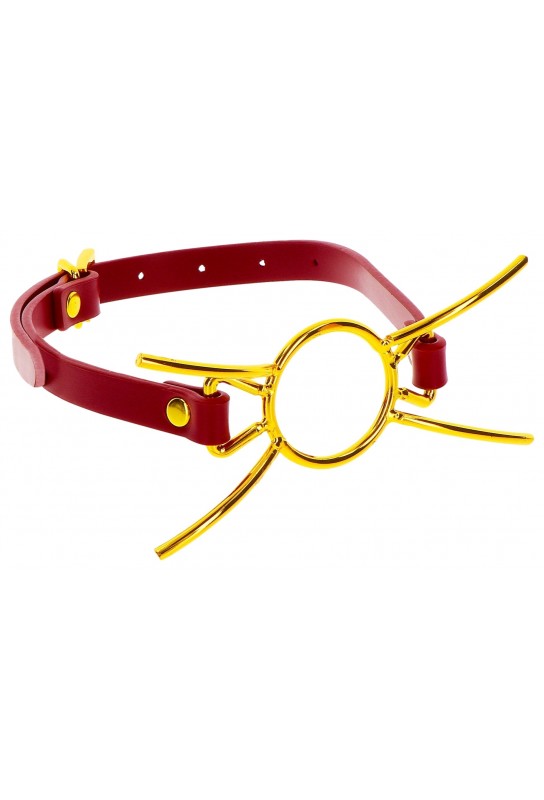 Bâillon Sder Taboom Rouge-Doré 