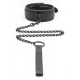 Collier Epais + Laisse 
