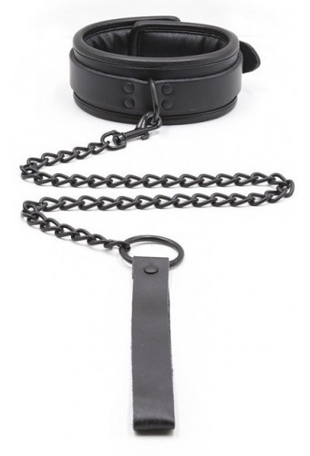 Collier Epais + Laisse 
