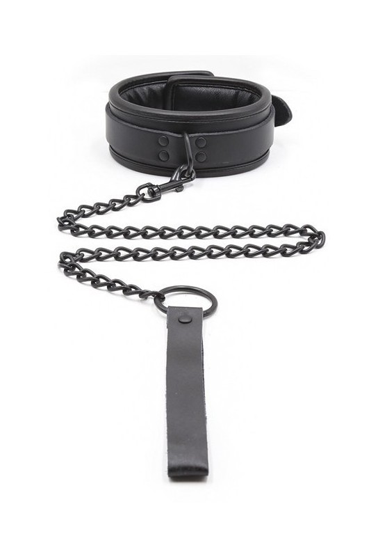 Collier Epais + Laisse 