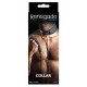 Collier et Laisse Renegade noir 