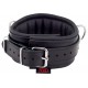 Collier rembourré en cuir avec Anneaux D Noir 