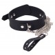 Collier et Laisse Deluxe Collar Noir 