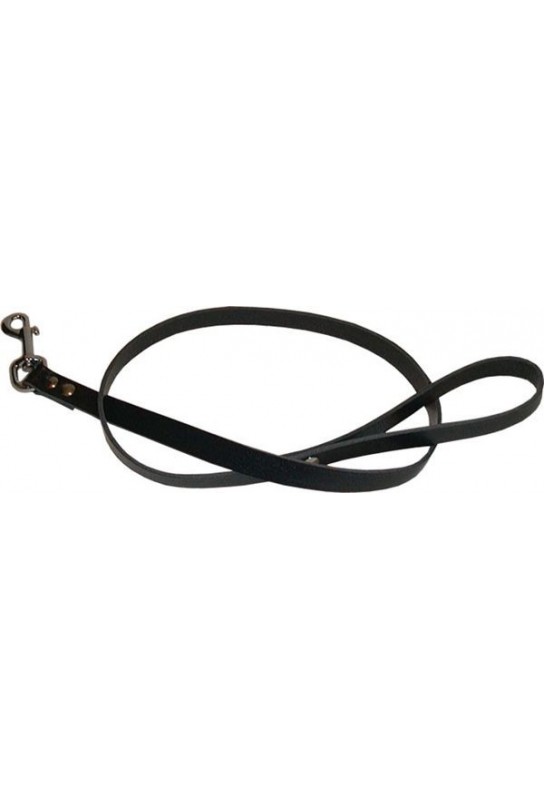 Laisse en cuir Dog 1m 