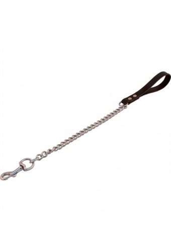 Laisse Dog avec Chaîne de 45cm 