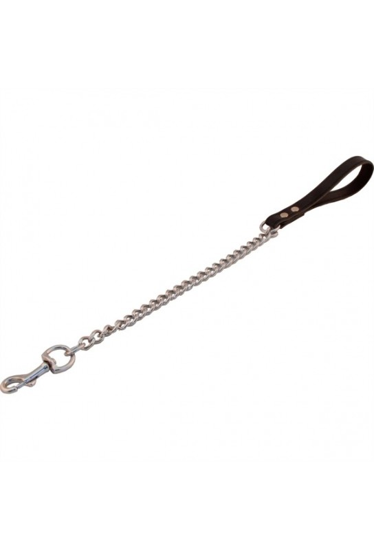 Laisse Dog avec Chaîne de 45cm 