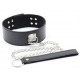 Collier et Laisse Pin Lock Noir 
