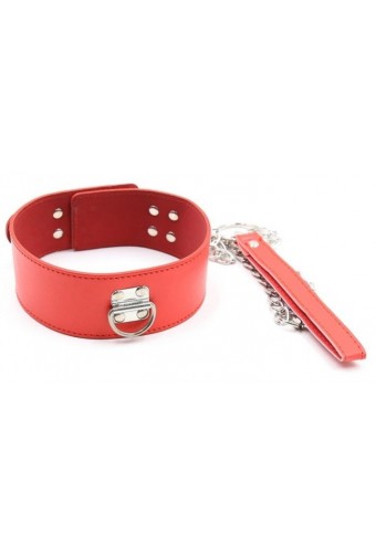 Collier et Laisse Pin Lock Rouge 