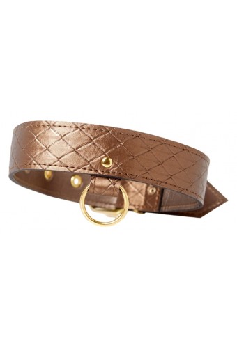 Collier et laisse Darling Pet Bronze 1m 