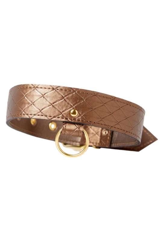 Collier et laisse Darling Pet Bronze 1m 