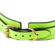 Collier-laisse phosphorescent Luminous Vert 