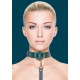 Collier-Laisse Halo Col Bleu 