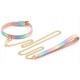 Collier-laisse Sm Laser Rose 