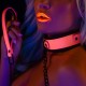 Collier-Laisse phosphorescent Glow Pink Taboom 