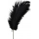 Plumeau Tickler Taboom 35cm 