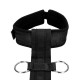 Attaches SM avec Collier et Menottes Restraint 