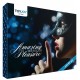 Pack Amazing Pleasure 10 Sextoys 