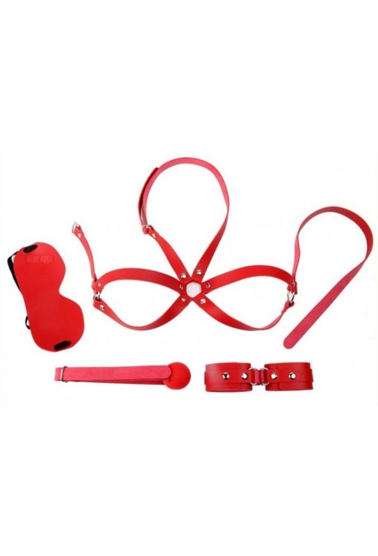 Kit d'Initiation BDSM OBEDIENCE 4 pièces Rouge 