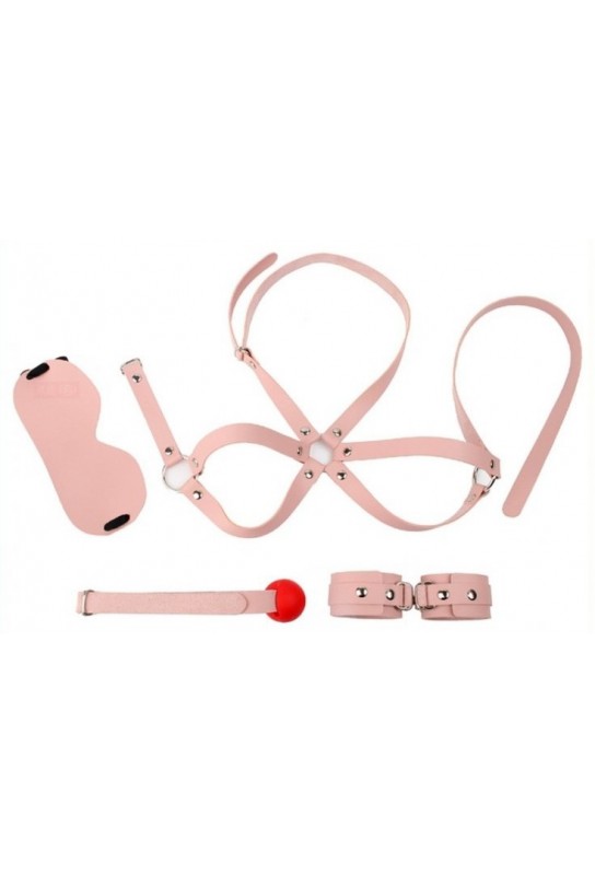Kit d'Initiation BDSM Obedience 4 Pièces Rose 
