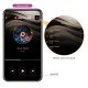 Vibro Point G Électro Connecté Hector 16 x 3.8cm Prune 
