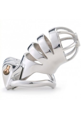 Cage de chasteté en métal Bird Up 8 x 3.3cm 