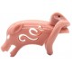 Cage de chasteté Pig Rough 10 x 3.5cm 