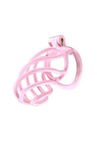 Cage de chasteté Tortille L 9.5 x 3.4 cm Rose 