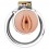 Cage de Chasteté Xtrem Pussy 2 x 3.5cm