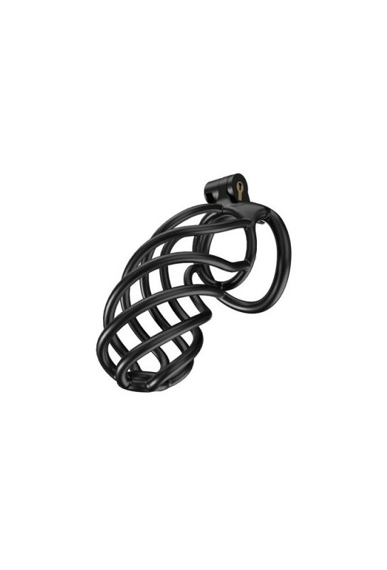 Cage de chasteté Tortille XXL 12.5 x 3.4 cm Noire 