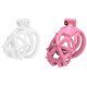Cage Diapik Rose M 10 x 3.3cm 