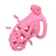Cage Diapik Rose M 10 x 3.3cm 