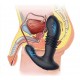 Stimulateur de prostate vibrant Thrusty Max 12 x 3.5cm 