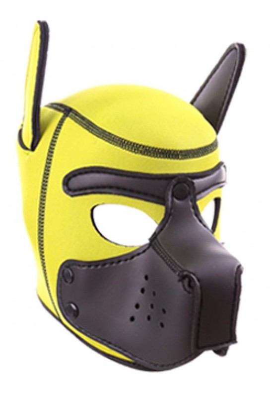 Cagoule PUPPY Néoprène Jaune-Noir 