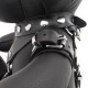 Ours en cuir Bendy The Bdsm Teddy Bear Noir 