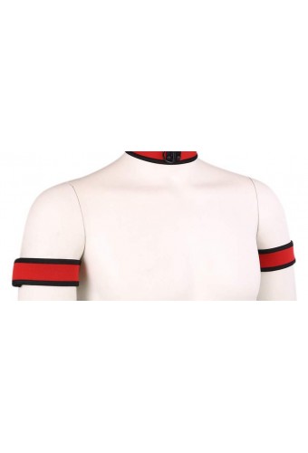 Brassards PUPPY Néoprène Rouge 