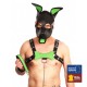 PUPPY OS EN CUIR VERT 