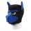 Masque Puppy Néoprène Dog On Noir-Bleu