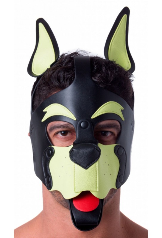 Masque Puppy 665 Jaune/Vert 