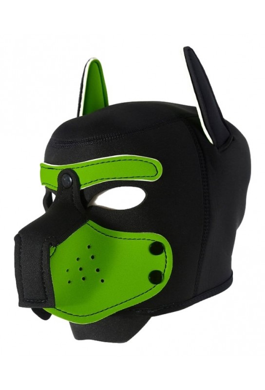 Cagoule Enjoy Puppy Noir-Vert 