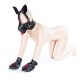 Kit Puppy 6 Pièces Noir-Rouge 