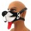 Museau Puppy Muz Noir-Blanc
