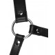 Muselière avec Bâillon Head Harness Noire 