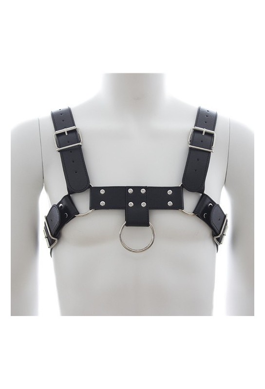 Harnais SM Upper Body Chest 