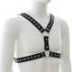 Harnais homme Strap Chest 