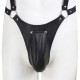Ensemble Panties avec harnais Simili 